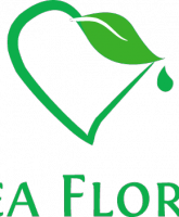 dea_flores_logo